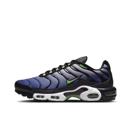 Nike Air Max Plus (GS) CD0609-021